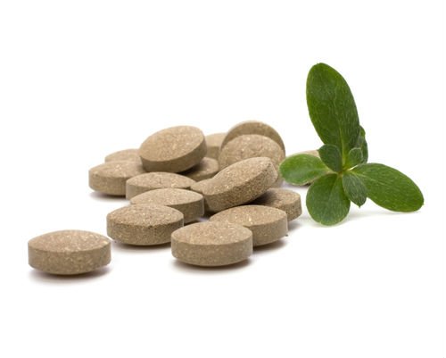 Natural Hoodia Diet Pills For Effective Weight Control