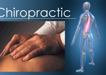 Chiropractic Newsletters To Educate Patients And Enhance Referrals