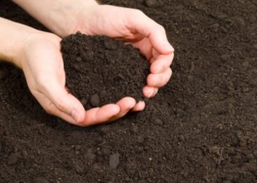 Which Topsoil Supplier Is Right And Best For Your Needs?