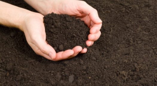 Which Topsoil Supplier Is Right And Best For Your Needs?