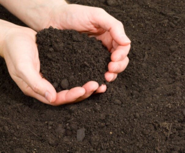 Which Topsoil Supplier Is Right And Best For Your Needs?