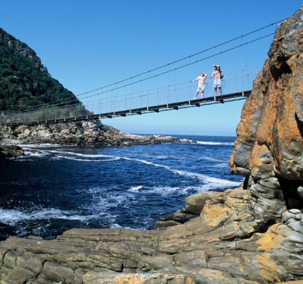Plan Africa Tour With Bunnik Tours To Make It Worth Memorable All Through The Life