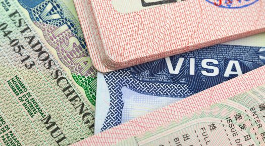 Family And Partner Visa: Things You Should Know