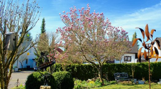 How To Create The Perfect Garden In 2020?
