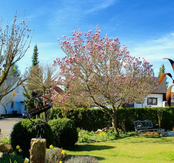 How To Create The Perfect Garden In 2020?