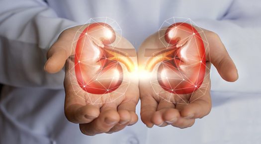 Why A Patient Require Kidney Transplantation?