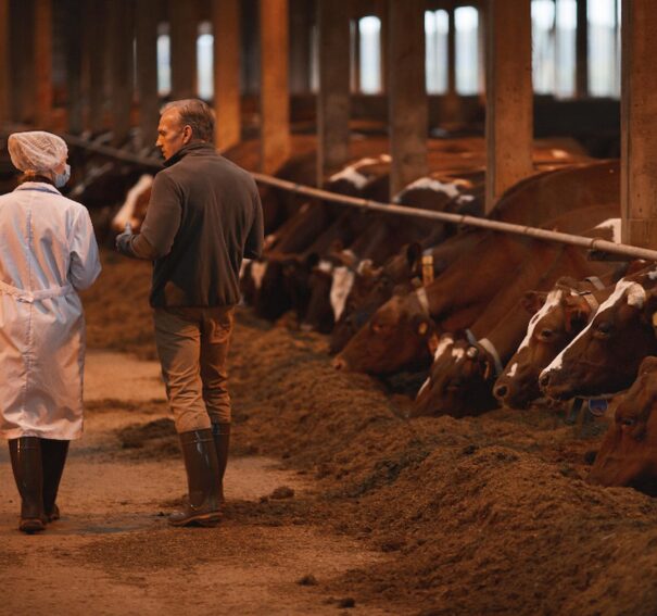 How Modern Farms Enhance Productivity and Sustainability
