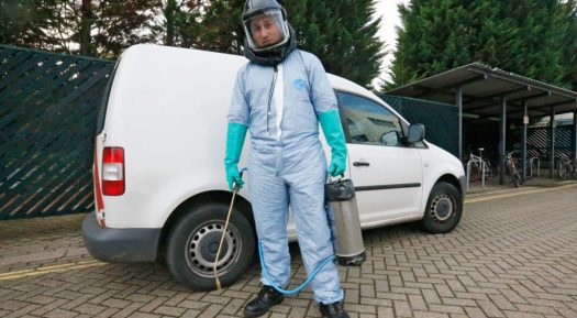 Pest Control Operations Are Required For Preventing Damages And Losses
