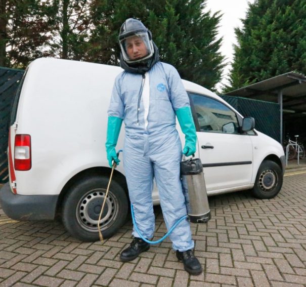 Pest Control Operations Are Required For Preventing Damages And Losses