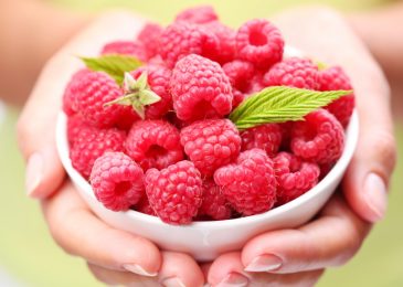 Raspberry Ketone: A Touch Up On Why!