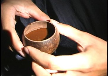 You Might Be Curious but Unaware Of the Different Aspects of an Ayahuasca Ceremony