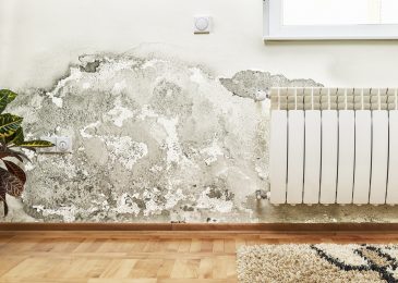 How To Get Rid Of Problems Due To Dampness In Your Home?