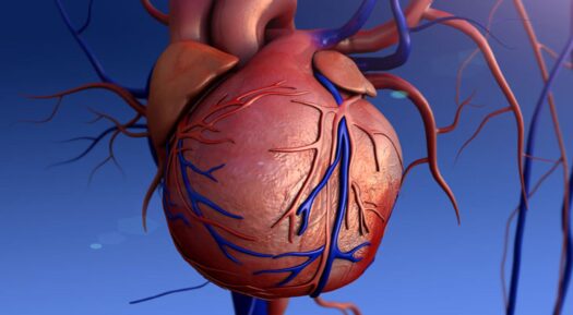 Understanding Tricuspid Valve Disease And What It Is?