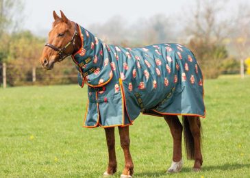 How To Choose The Right Rug For Your Horse