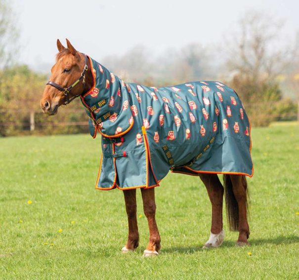 How To Choose The Right Rug For Your Horse